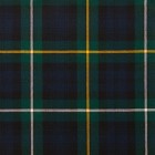 Reiver Light Weight Tartan Fabric - Campbell of Argyll Modern